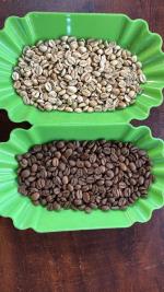 دان سبز و رست شده قهوه