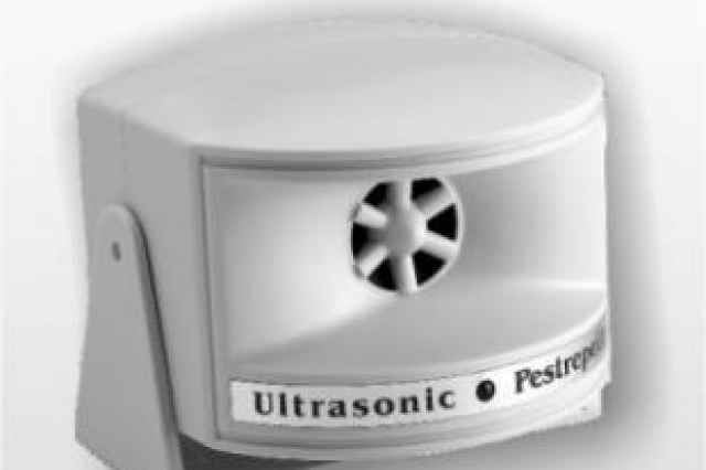 از بین برنده موش و سوسک