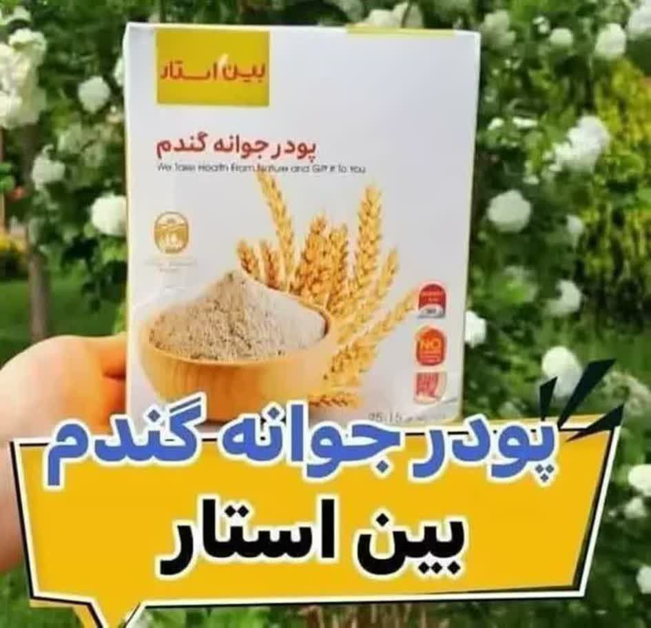 فروش عمده پودر جوانه گندم بین استار