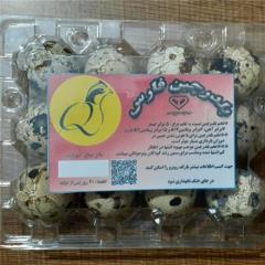 فروش تخم خوراکی بلدرچین