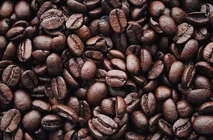 فروش دان قهوه بصورت عمده