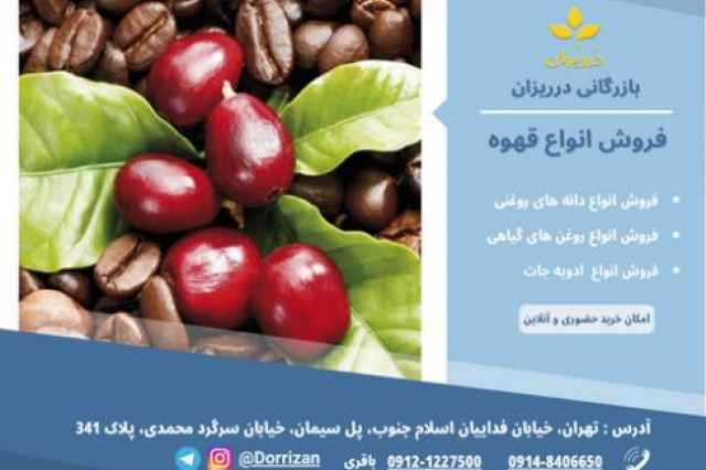 فروش قهوه سبز و فروش نسکافه