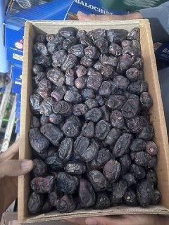 فروش خرما مضافتی وربی با بسته‌بندی