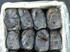 فروش عمده خرمای مضافتی درجه یک