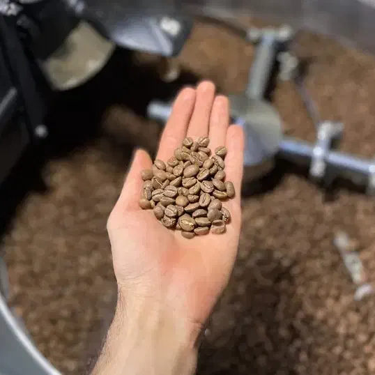 جشنواره فروش استثنایی دان قهوه برای کافه داران