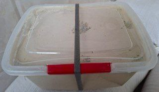 فروش عمده حلوا ارده بازرگانی باران