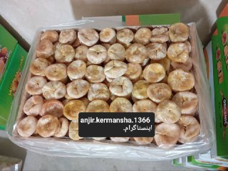 پخش انجیر کوردی کرمانشاه