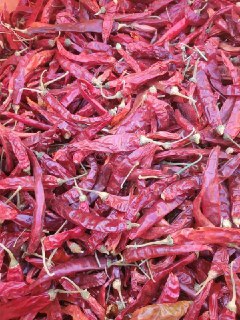 فروش عمده فلفل قلم تند با کیفیت عالی و قیمت مناسب