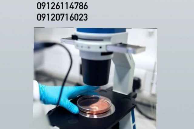 تجهیزکامل آزمایشگاه بستنی وفالوده استاندارد