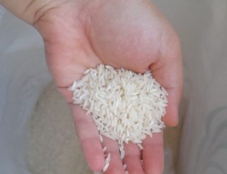 فروش عمده برنج تایلندی