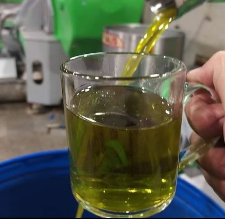 پخش عمده روغن زیتون (بابو و بدون بو) با تضمین