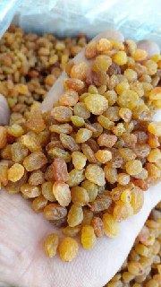 تامین کشمش صادراتی گلدن و سلطانی