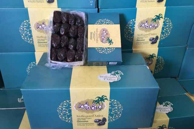 بسته بندی و صادرات خرما