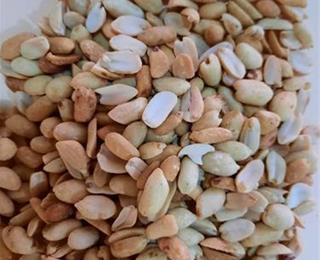 فروش بادام زمینی کره گیری ، قیمت مناسب