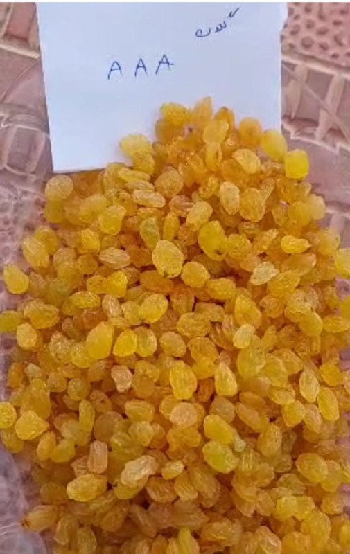 خشکبار صادراتی طلا سبز