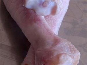 فروش پا و پنجه مرغ صادراتی بدون واسطه