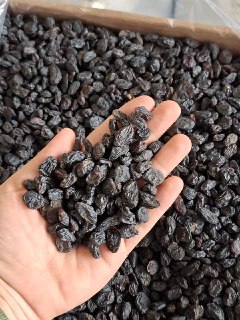 مویز افغان با کیفیت عالی