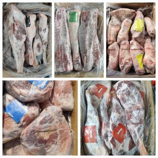 فروش گوشت گوسفندی مغولی