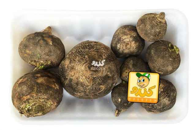 فروش ترب سیاه تازه یا خشک در تابستان