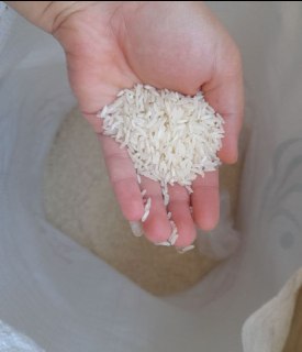 فروش برنج تایلندی رز فاخر