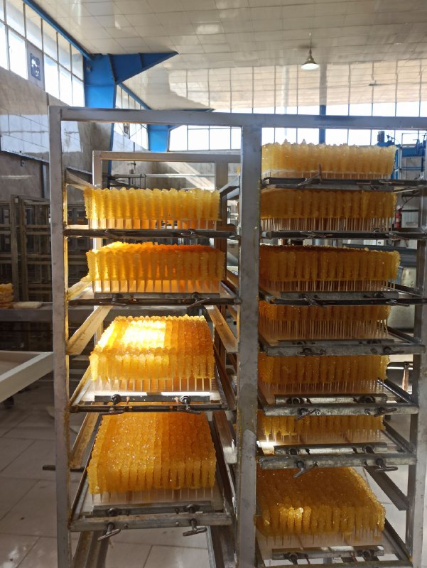 فروش نبات جوریز (نی‌دار و نرمه) - مستقیم از کارخانه